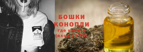 бошки Алексин