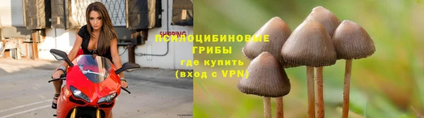 2c-b Алзамай