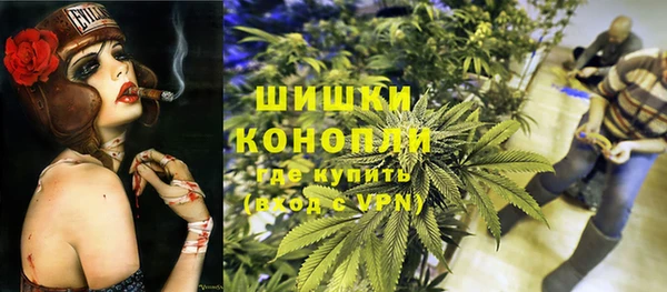 бошки Алексин