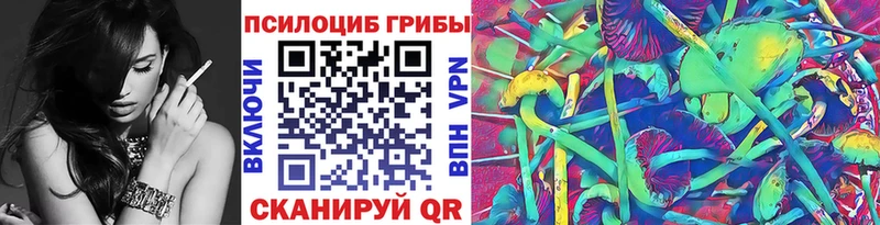 МЕГА как зайти  купить закладку  Нюрба  Галлюциногенные грибы MAGIC MUSHROOMS 